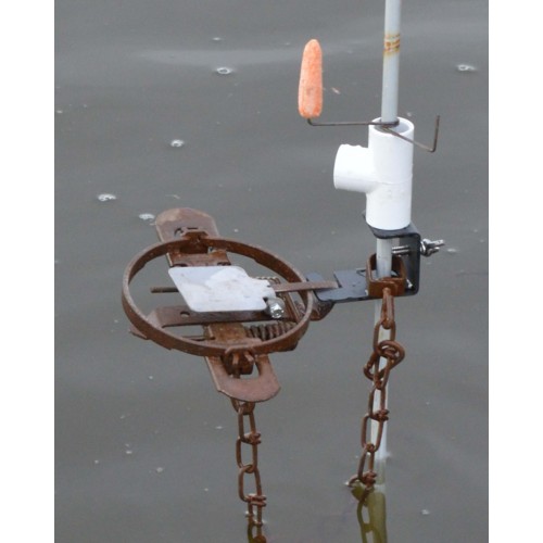Duke Dog Proof Racoon Trap