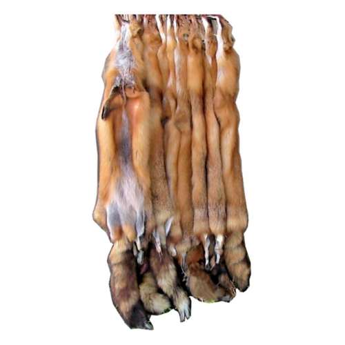 Red Fox Fur Pelt / Tanned Skins