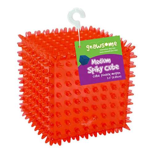 Gnawsome Spiky Cube Dog Toy
