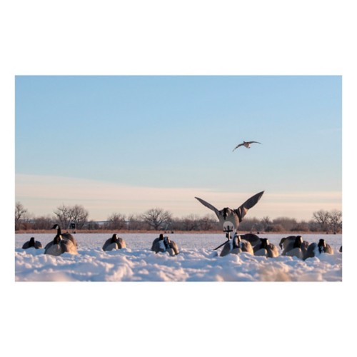 Lucky Duck Super Canada Goose Flapper HDi Motorized Decoy