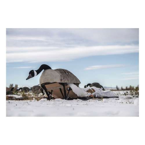 Goose blind chair sale