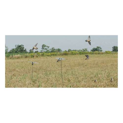 Lucky Duck HD Dove Decoy