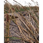 Beavertail 1800 Series Boat Blind - Thumbnail 4 of 5