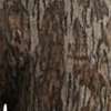 Mossy Oak Bottomland