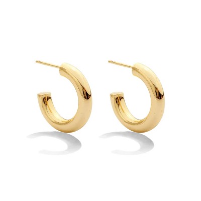 Splendid Iris Small Thick Hoop Earrings