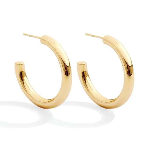 Splendid Iris Medium Hoop Earrings