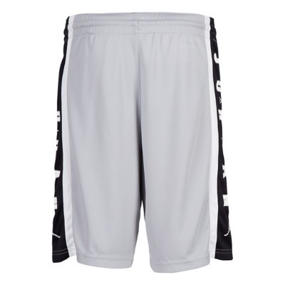 jordan dri fit rise shorts