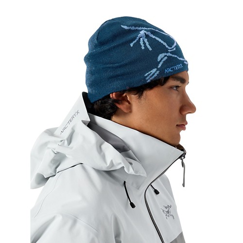 帽子 ARC'TERYX BIRD HEAD TOQUE Bird Head Toque | Arc'teryx United States
