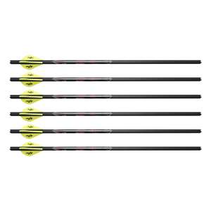 Trophy Ridge Insidious 20 Carbon crossbow Bolt 1/2 Dozen AXINS20 - Mike's  Archery