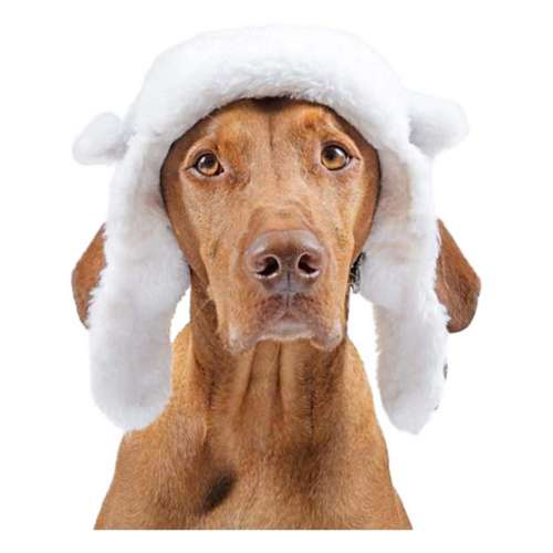 Canada Pooch Arctic Air Dog Hat
