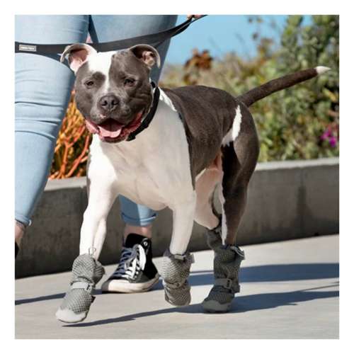 Canada Pooch Hot Pavement Cooling Boots