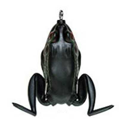 Texas Toad