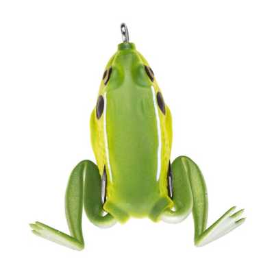 Bull Frog