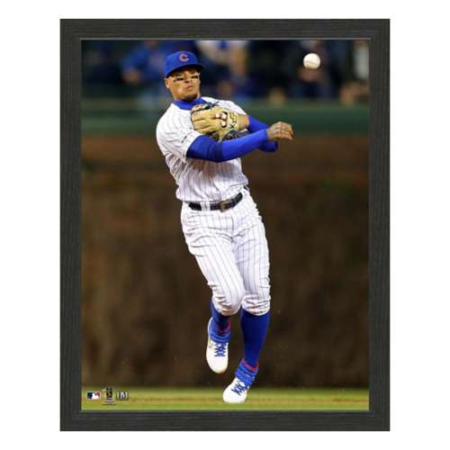 Men's Chicago Cubs Javier Baez Charcoal Big & Tall Fashion Player