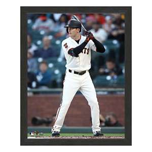 Highland Mint San Diego Padres Fernando Tatis Jr 12x15 Sport Frame