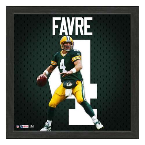 Favre packers jersey deals