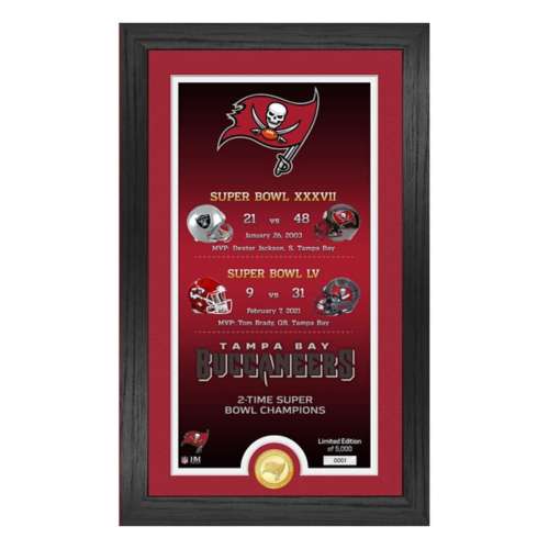 Tampa Bay Buccaneers "Legacy" Bronze Coin Photo Mint
