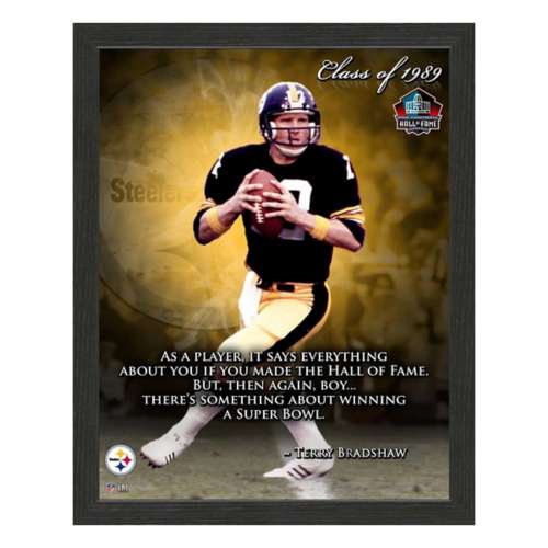 Highland Mint Pittsburgh Steelers Terry Bradshaw 12"x15" Framed Proquote