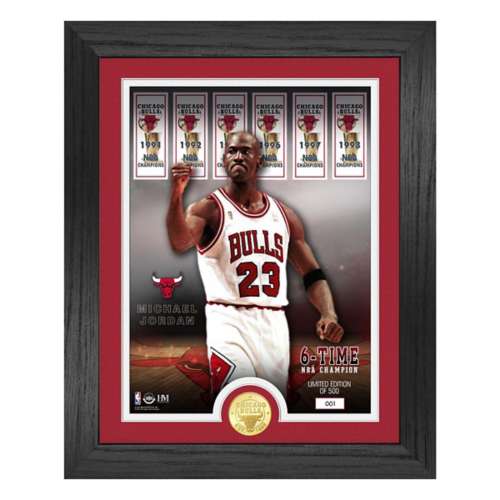 Highland Mint Chicago Bulls Michael Jordan 6 Time NBA Champion Banners 13"x16" Bronze Coin Photo Mint