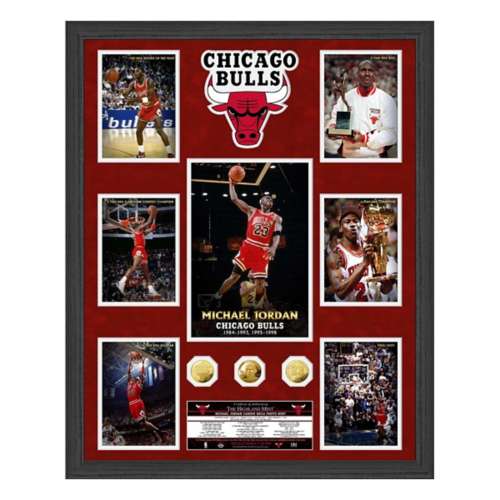 Highland Mint Chicago Bulls Michael Jordan Statement Framed Photo