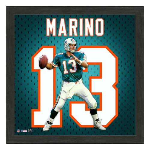 Dan Marino Miami Dolphins Jersey IMPACT Frame