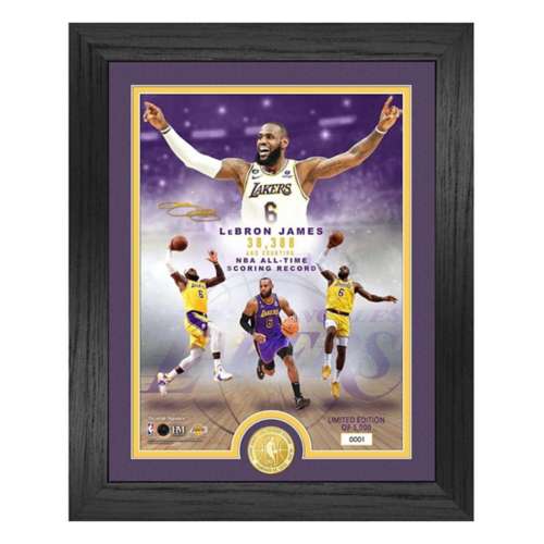 Highland Mint Los Angeles Lakers Lebron James All Time Scoring Leader Framed Coin and Photo
