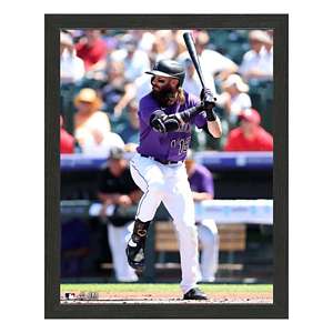 Highland Mint San Diego Padres Fernando Tatis Jr 12x15 Sport Frame