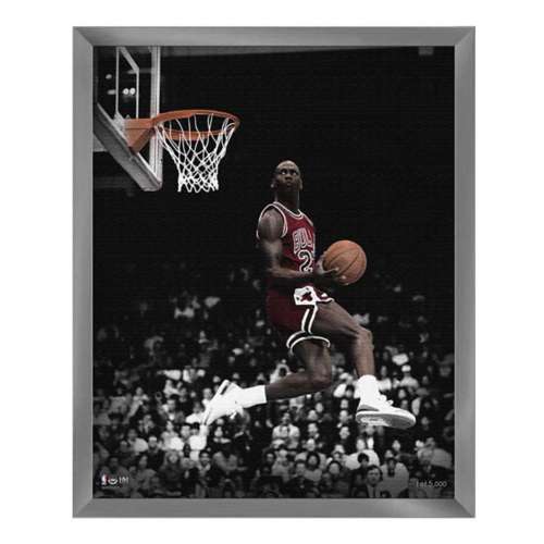 Highland Mint Chicago Bulls Michael Jordan 16"x20" Canvas Photo