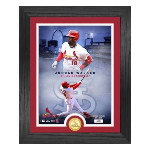 Highland Mint Jordan Walker St. Louis Cardinals Legends Bronze Coin Photo Mint