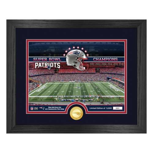 New England Patriots Stadium Bronze Coin Photo Mint