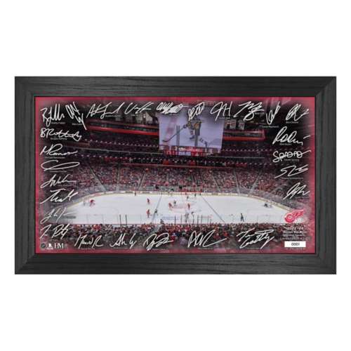 Highland Mint Detroit Red Wings 2023-24 Signature Rink Frame