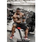 Schiek Dowel Lifting Straps - Thumbnail 6 of 9