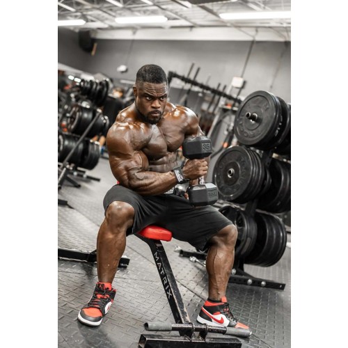 Schiek Dowel Lifting Straps - Primary Image