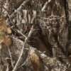 Realtree Edge