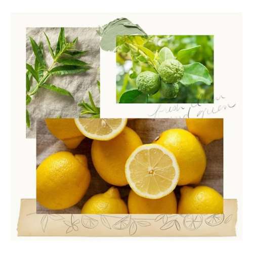 Thymes Lemon Leaf Petite Reed Diffuser