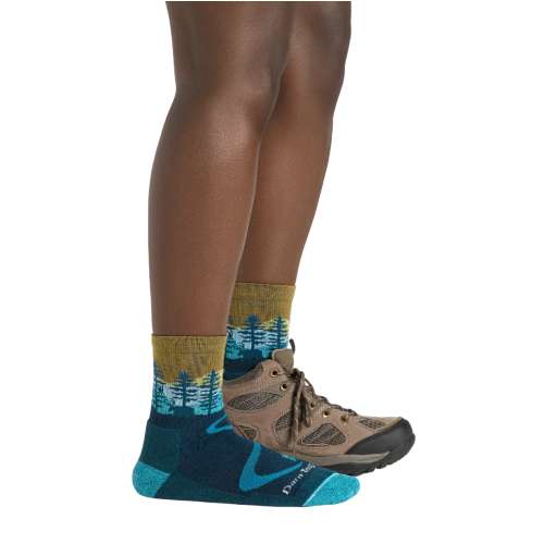 Women's Darn Tough Northwoods Midweight Micro Crew Hiking Socks