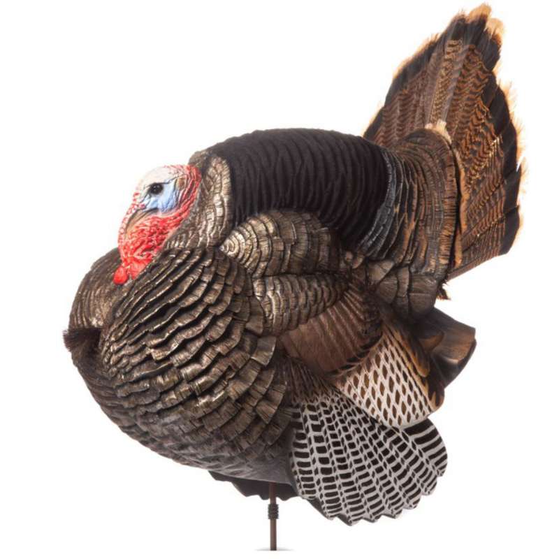 Dave Smith Decoys Jake Strutter Turkey Decoy