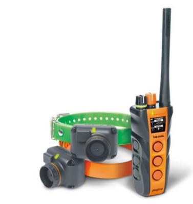 Dogtra T&B Dual 2-Dog Training & Beeper Unit | SCHEELS.com