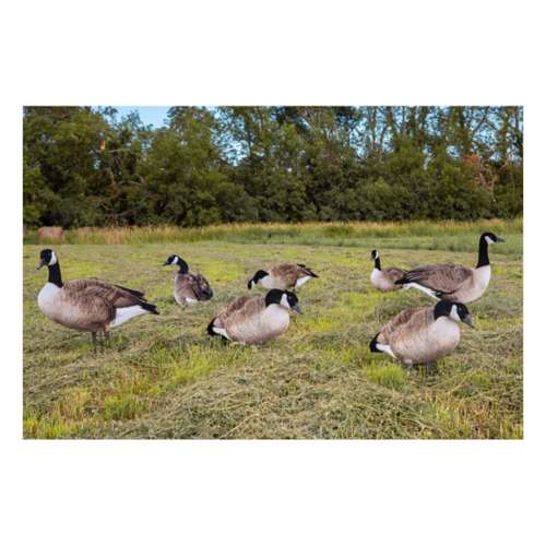 Big Al's X14 Greater 5 Pack Bulk Canada Goose Silhouettes (70 decoys)