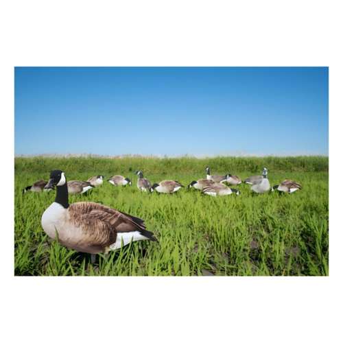 Big Al's X14 Greater 5 Pack Bulk Canada Goose Silhouettes (70 decoys)