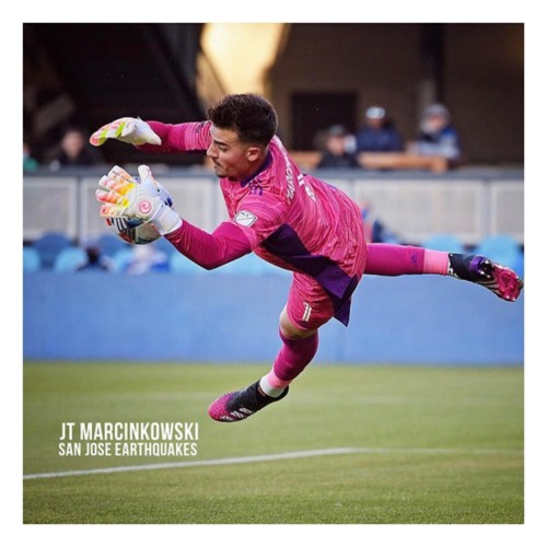 West Coast Spyder x Sunset Soccer Goalkeeper Gloves