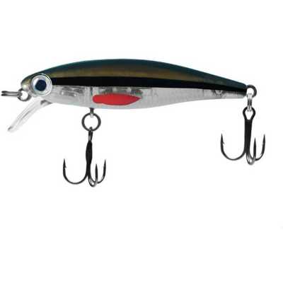 Redfin Shiner