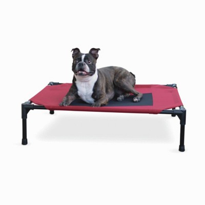 Cubs hat dog store bed