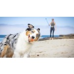 Chuckit! Large Tennis Ball - Thumbnail 2 of 4