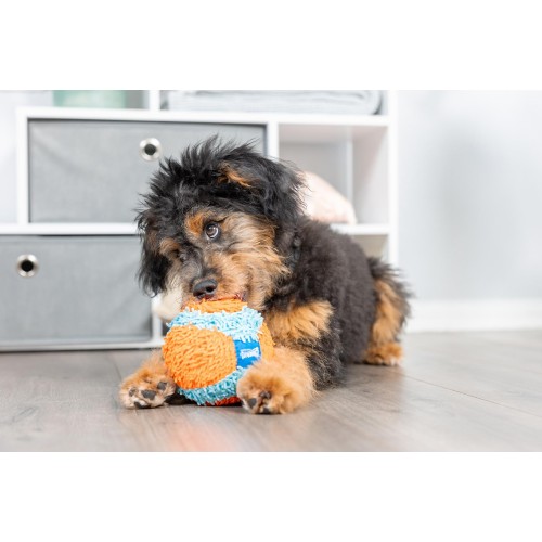 Chuckit Indoor Ball Dog Toy