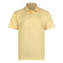 Men's Swannies Fore Golf Polo