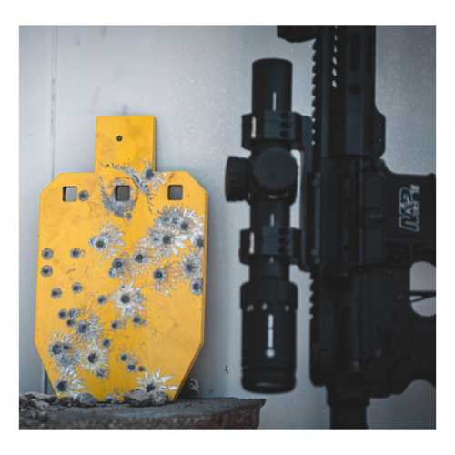 Caldwell AR500 IPSC Steel Target