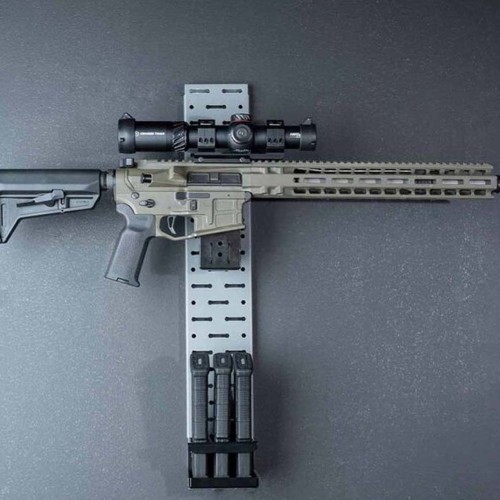 Lockdown SecureWall AR15 Hanger