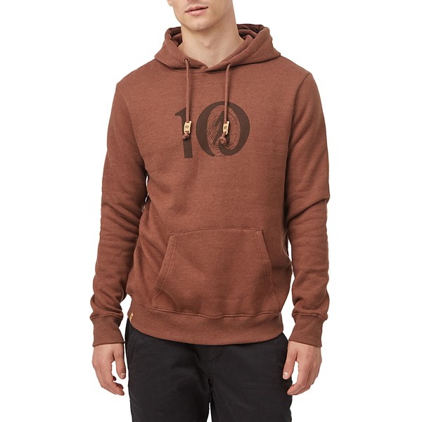 Men's tentree Woodgrain Ten Hoodie product image
