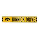 Authentic Street Signs Iowa Hawkeyes "Kinnick Drive" Street Sign
